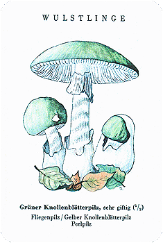 Spielkarte