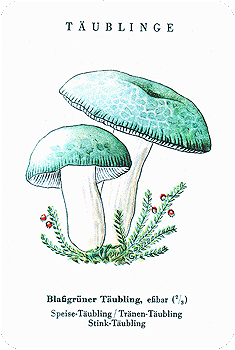 Spielkarte