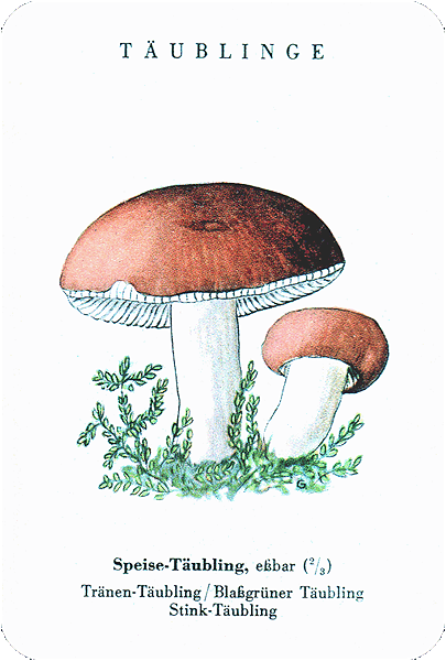 Spielkarte
