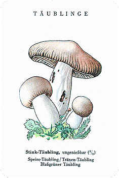 Spielkarte