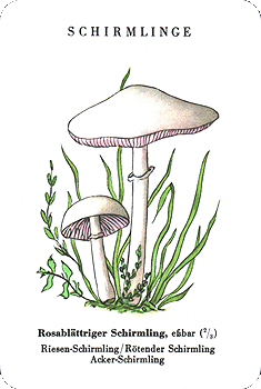 Spielkarte