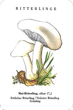 Spielkarte