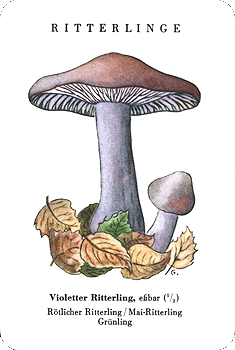 Spielkarte