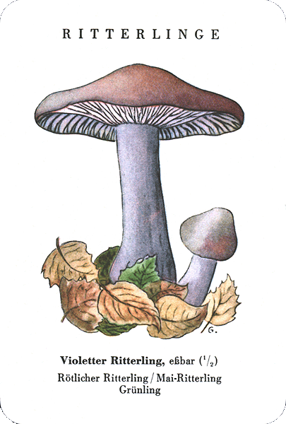 Spielkarte