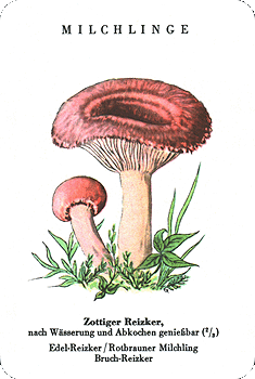 Spielkarte