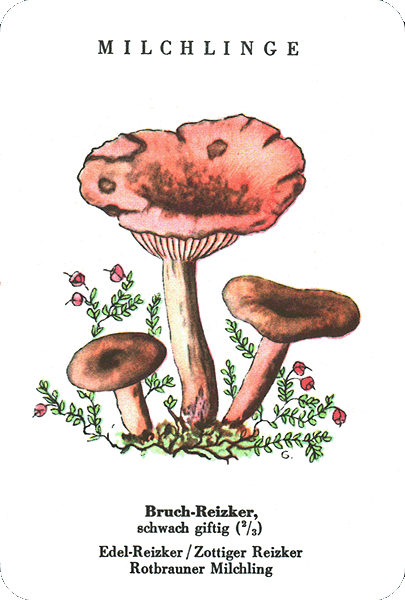 Spielkarte
