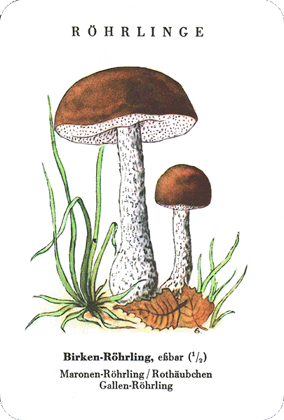 Spielkarte