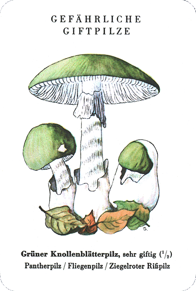 Spielkarte