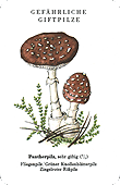 Spielkarte