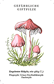 Spielkarte