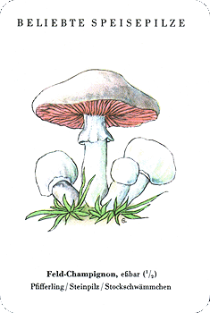 Spielkarte