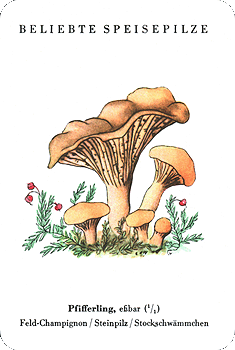 Spielkarte