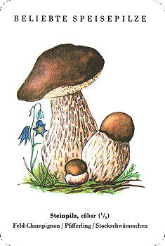 Spielkarte