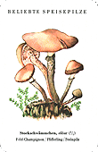 Spielkarte