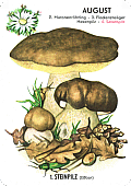 Spielkarte