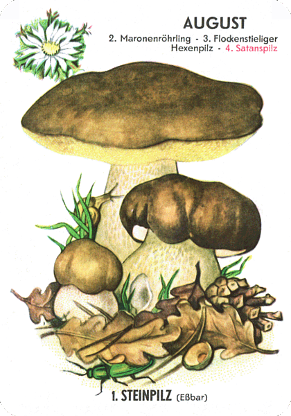 Spielkarte