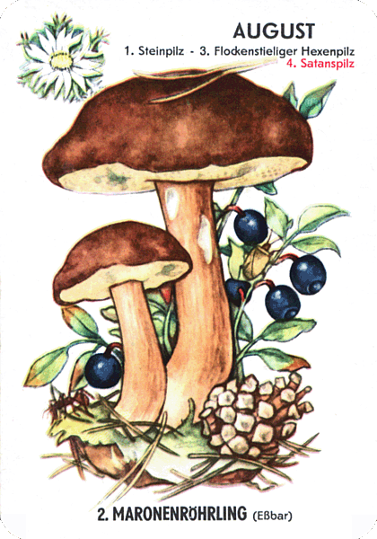 Spielkarte