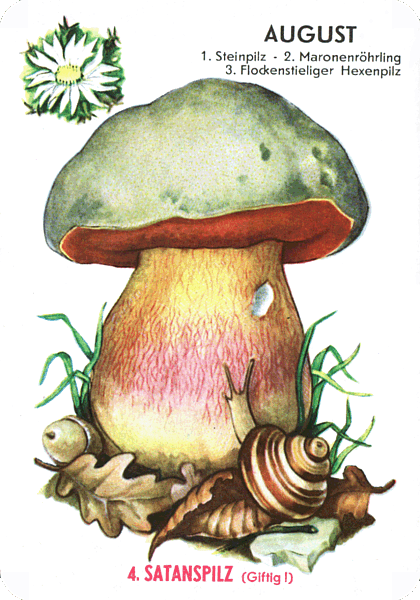 Spielkarte