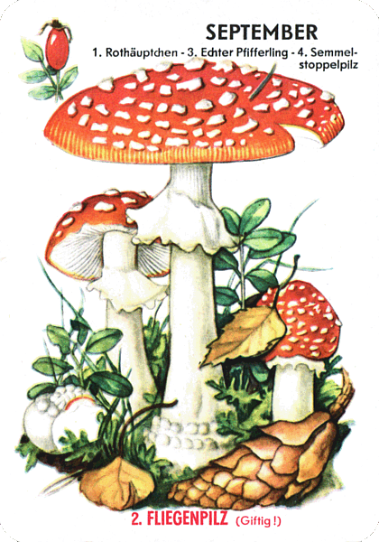 Spielkarte