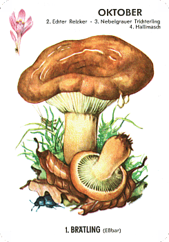 Spielkarte