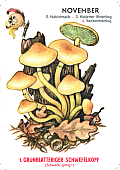 Spielkarte