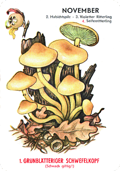 Spielkarte