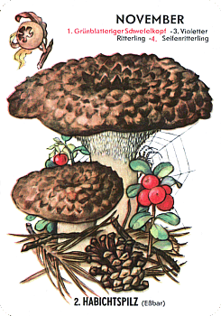 Spielkarte