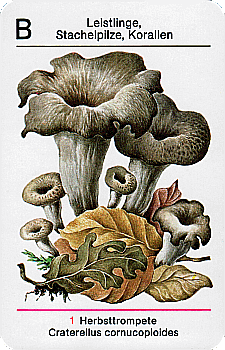 Spielkarte
