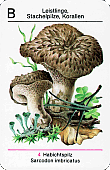 Spielkarte