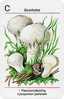 Spielkarte