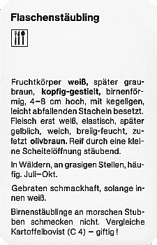 Spielkarte