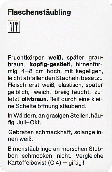 Spielkarte