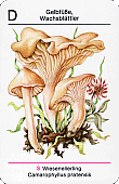 Spielkarte