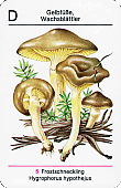 Spielkarte