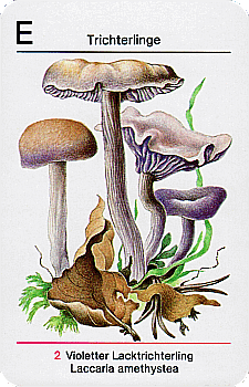 Spielkarte