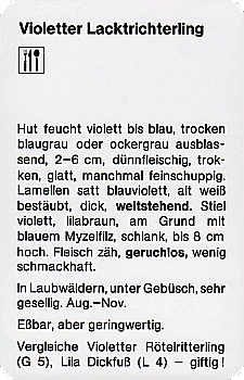 Spielkarte