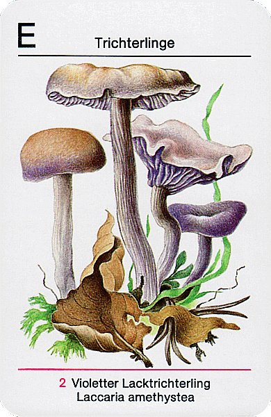 Spielkarte