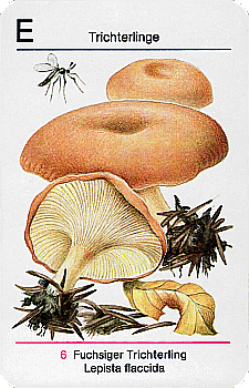 Spielkarte