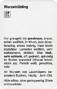Spielkarte