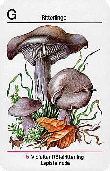 Spielkarte