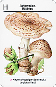 Spielkarte