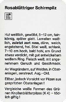 Spielkarte