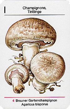Spielkarte