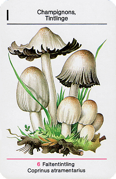 Spielkarte