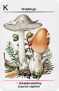 Spielkarte