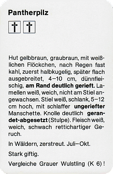Spielkarte