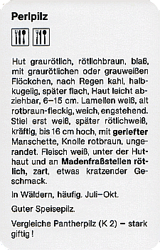 Spielkarte