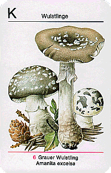 Spielkarte