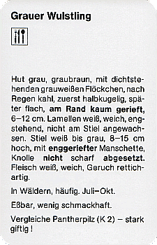 Spielkarte