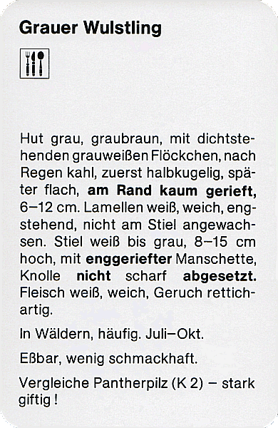 Spielkarte